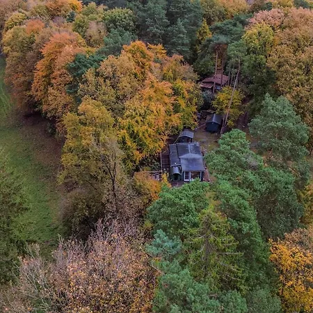 Pure Wald-energie Vor Den Toren Hamburgs * Seevetal