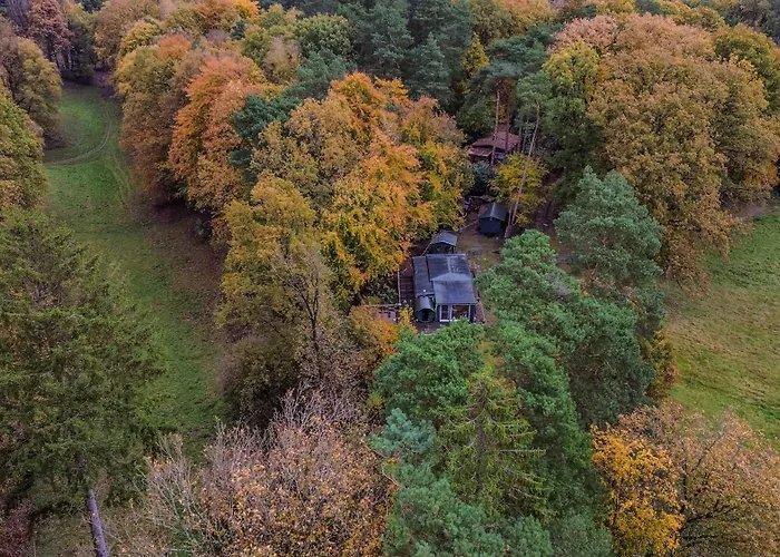 Pure Wald-energie Vor Den Toren Hamburgs * Seevetal